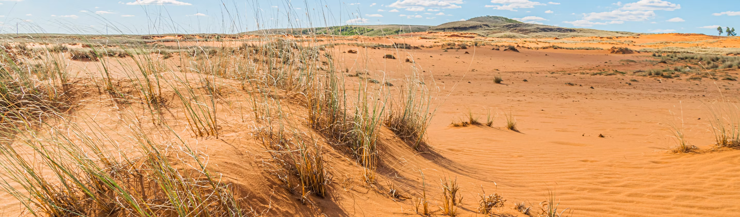 Deserto do Areal